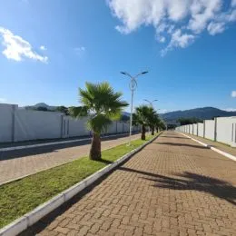 Vista externa de uma rua com gramado e árvores.
