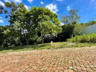 Vista externa de uma propriedade com vegetação densa e pavimento de tijolos.