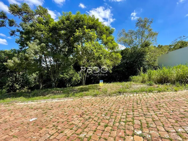 Terreno, foto 2