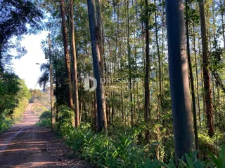 Área rural, foto 13