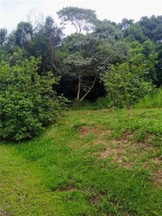 Área rural, foto 4