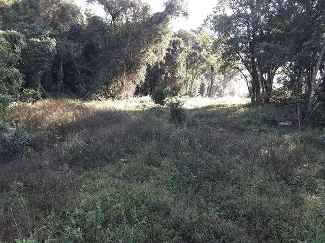 Área rural