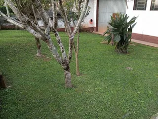 Casa com 3 dormitórios, foto 13