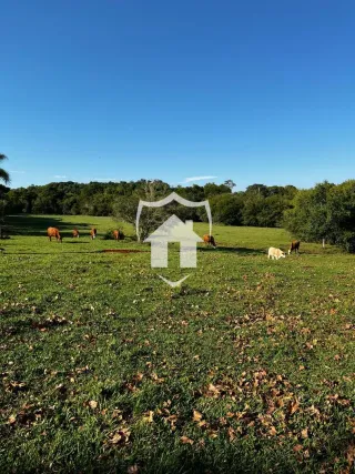 Área rural com 2 dormitórios, foto 1