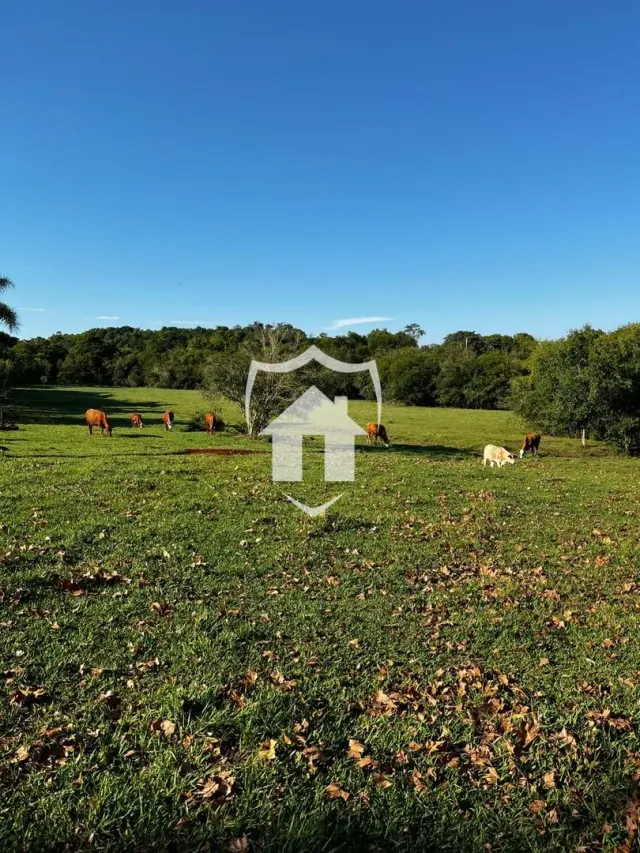 Área rural com 2 dormitórios