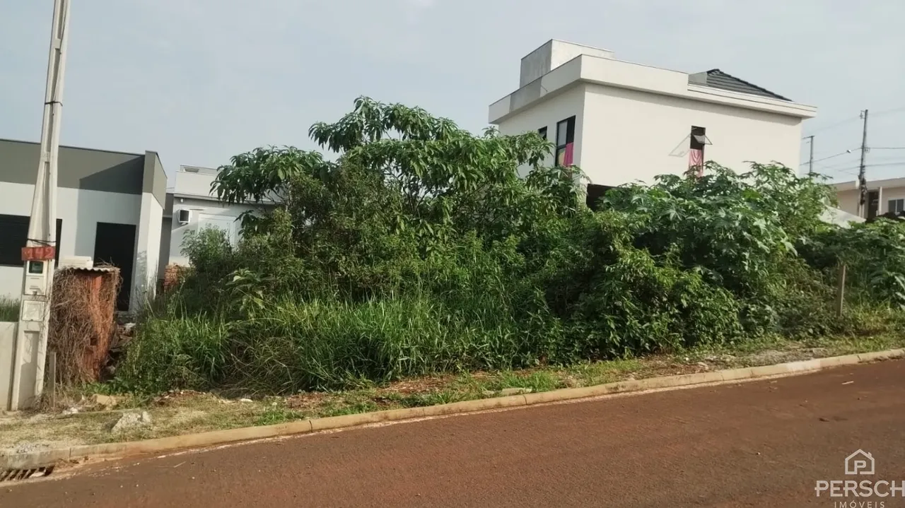 Terreno, foto 1