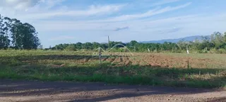 Terreno, foto 3