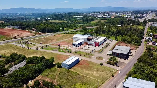 Terreno, foto 3