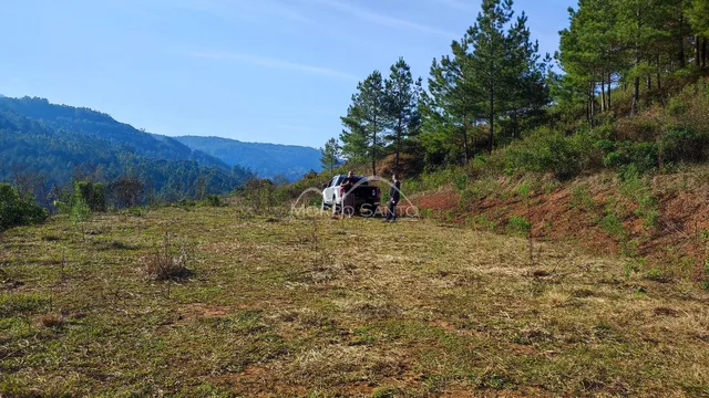 Vista de um campo aberto com vegetação e árvores ao fundo em Lajeado.