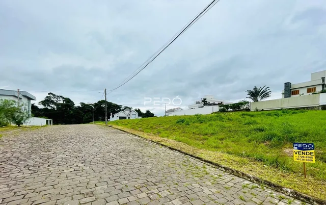 Vista da rua pavimentada e área gramada de uma propriedade em Lajeado, Brasil.