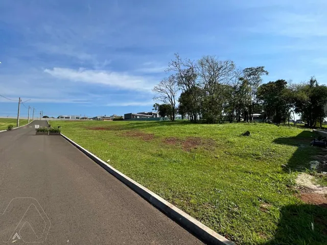Terreno, foto 4