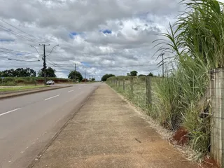 Vista de uma estrada com calçada e vegetação ao lado.