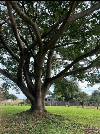 Área rural, foto 8