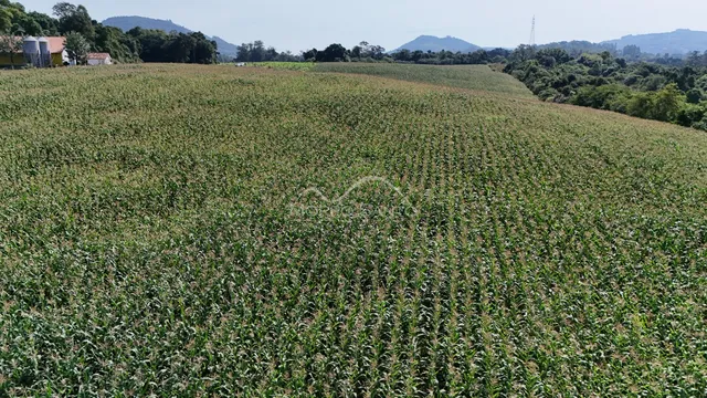 Área rural, foto 4