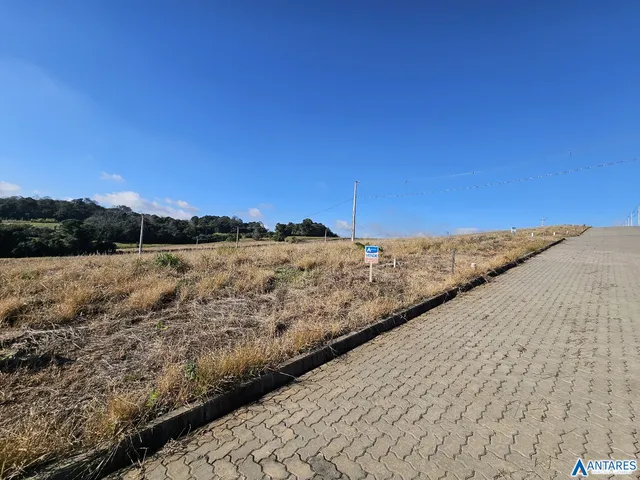 Paisagem de campo seco com estrada e vegetação ao fundo.