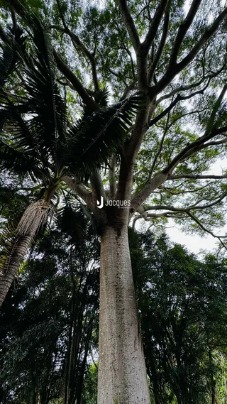 Área rural com 3 dormitórios, foto 15