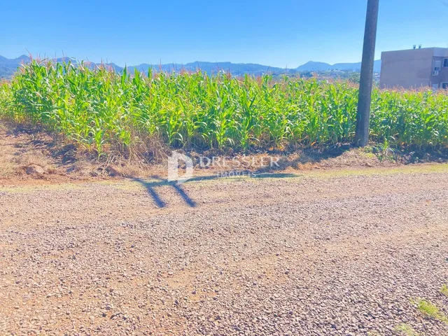 Terreno, foto 4
