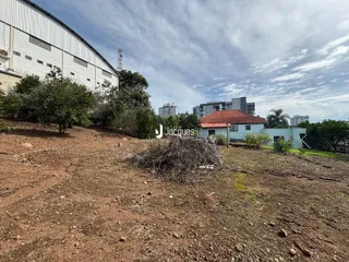 Vista externa de um terreno com vegetação e um prédio industrial ao fundo.