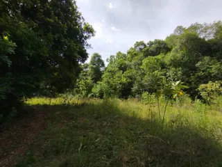 Área rural, foto 20