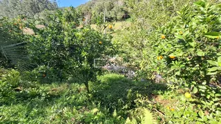Área rural, foto 16