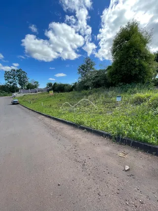 Vista externa de uma estrada de terra ao lado de uma área verde com vegetação e árvores.