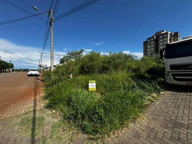 Terreno, foto 5