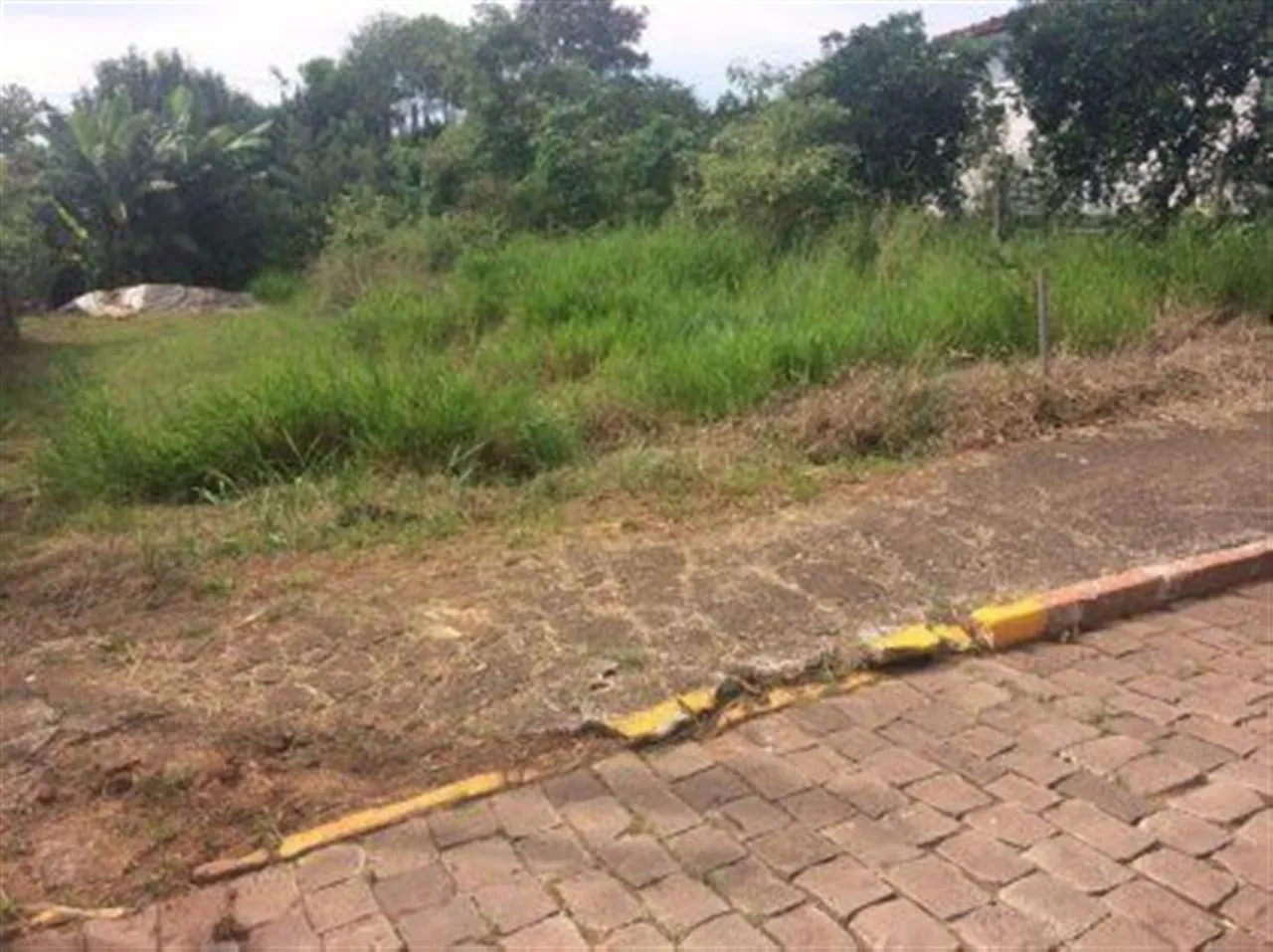 Terreno, foto 1