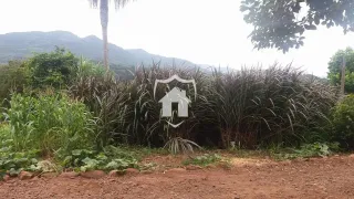 Área rural com 3 dormitórios, foto 10