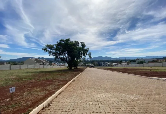 Terreno, foto 2