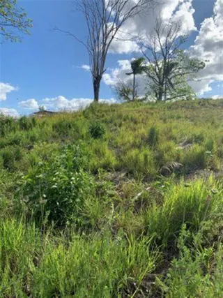 Terreno, foto 1