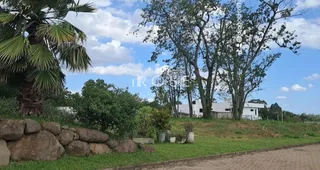 Terreno, foto 8