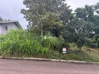 Vista da propriedade com vegetação densa e uma estrada no primeiro plano.