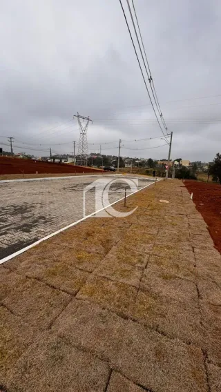 Terreno, foto 5