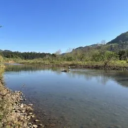 Vista de um rio tranquilo com vegetação ao fundo.