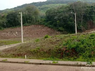 Terreno, foto 2