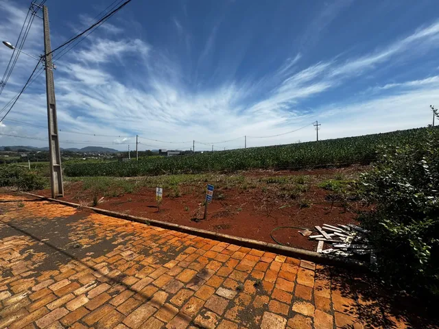 Terreno, foto 2