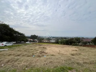 Terreno, foto 2