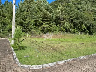 Vista de um terreno gramado com cerca e vegetação densa ao fundo.