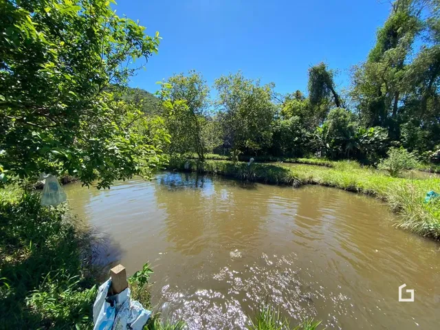 Paisagem de um rio cercado por vegetação densa.