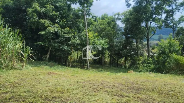 Terreno, foto 3