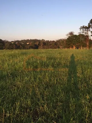 Área rural, foto 9