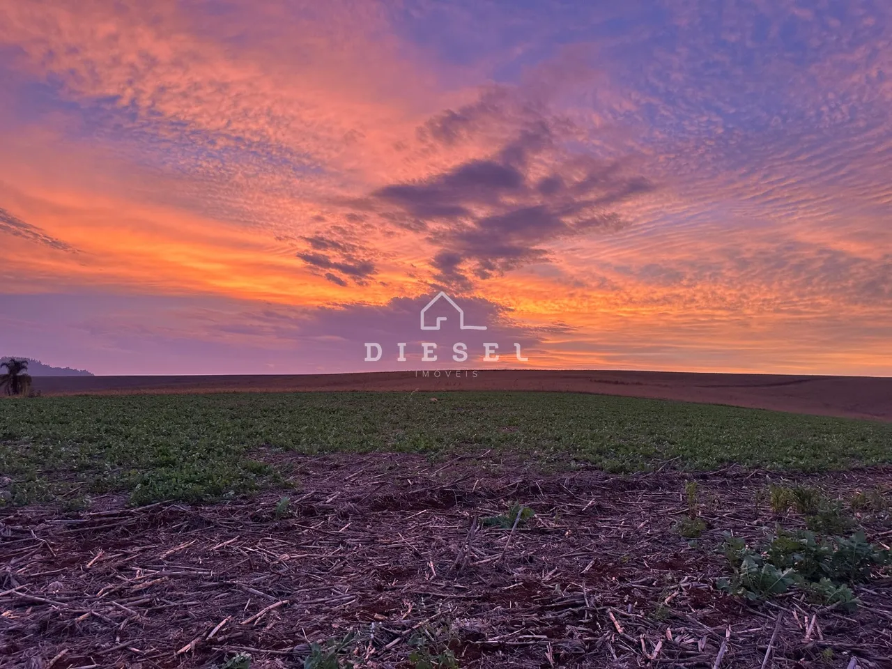 Área rural, foto 1