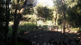 Área rural com 2 dormitórios, foto 5