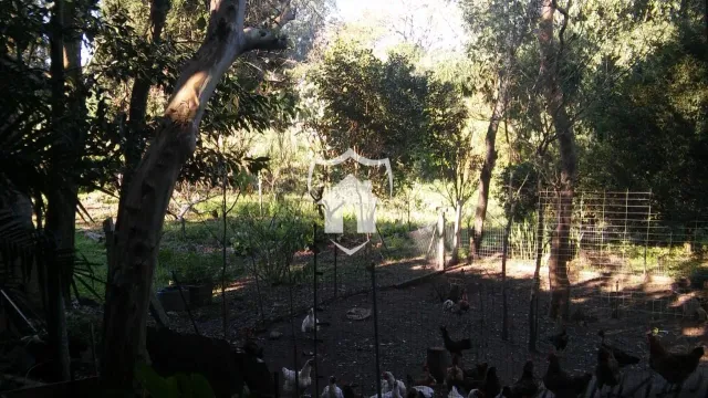 Área rural com 2 dormitórios, foto 5