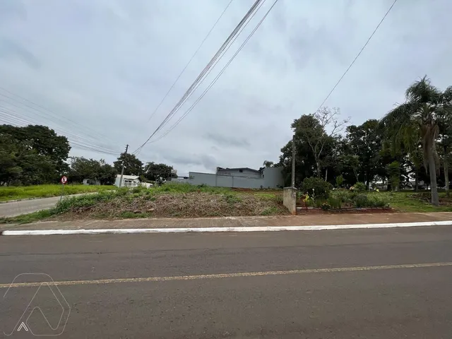Terreno, foto 4