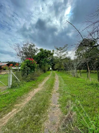 Área rural com 3 dormitórios, foto 14