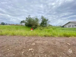 Vista da propriedade com vegetação alta e terra no primeiro plano.
