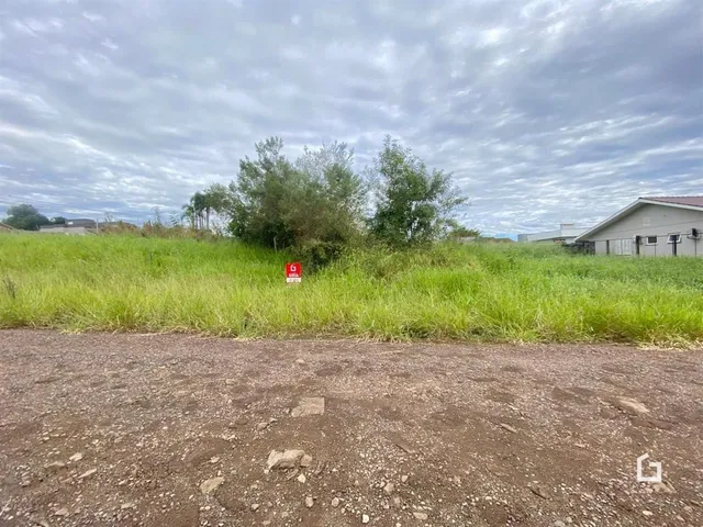 Vista da propriedade com vegetação alta e terra no primeiro plano.