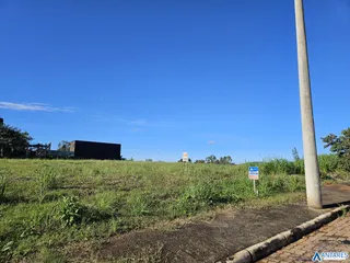 Terreno, foto 2
