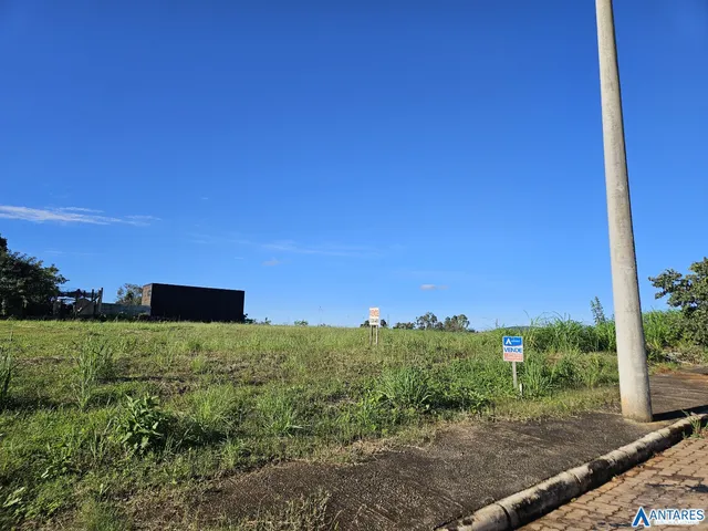 Terreno, foto 2